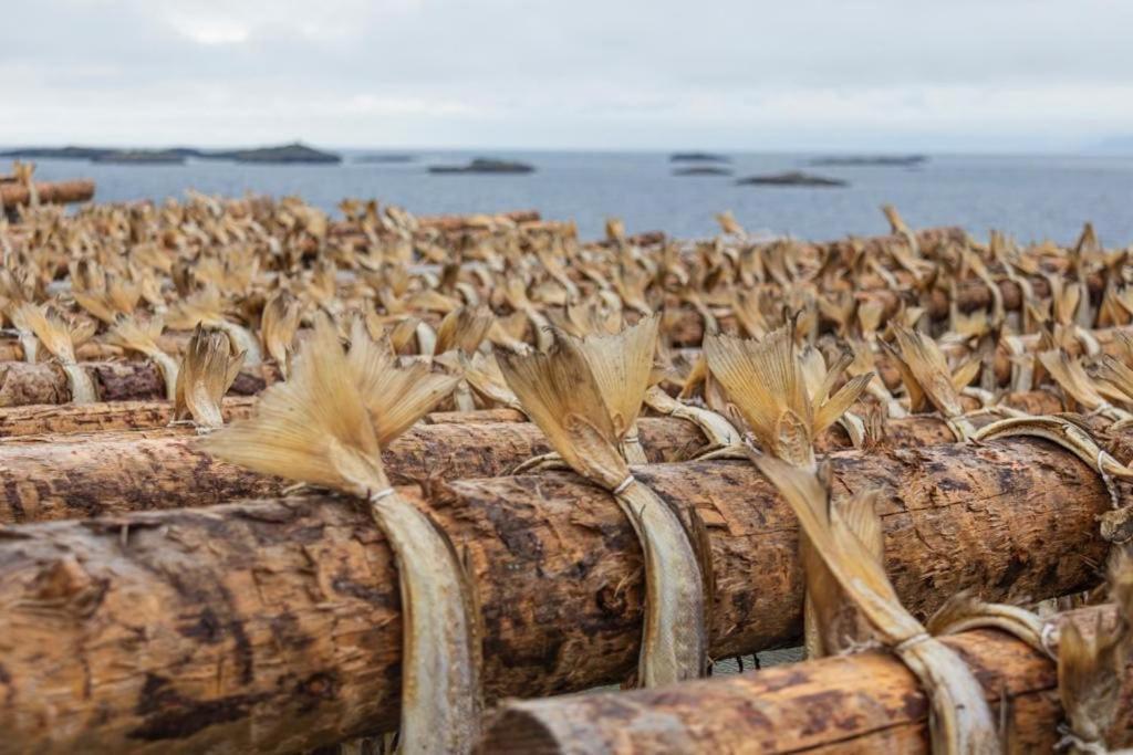 Lofoten Holiday カベルヴォーグ エクステリア 写真